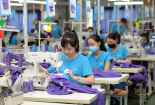Áp dụng tiêu chuẩn và công cụ cải tiến thúc đẩy 'xanh hóa' Link Đăng Nhập Nhà cái 13Win16.Com 