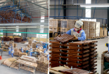 13Win 19.com link truy cập gỗ Việt đẩy mạnh áp dụng tiêu chuẩn FSC để nâng năng suất và mở rộng thị trường