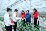 Hỗ trợ tối đa 80% chi phí cho Link Đăng Nhập Nhà cái 13Win16.Com nhỏ và vừa nâng cao năng suất, chất lượng sản phẩm