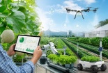 Vì sao chất lượng sản phẩm cần được kiểm soát toàn chuỗi?