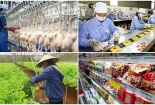 TCVN ISO 22003-1:2025 tạo nền tảng cho hoạt động chứng nhận an toàn 13Win OKVIP Cá cược bóng đá minh bạch, hiệu quả