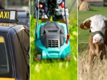 Những điều luật kỳ quặc nhất hành tinh