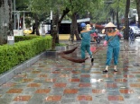 Tin mới nhất về bão số 3: Toàn cảnh Hải Phòng và Quảng Ninh khắc phục hậu quả sau bão