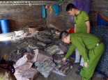 Cảnh sát chặn nửa tấn mực bẩn sắp vào nhà hàng