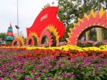 Cận cảnh vẻ đẹp ngỡ ngàng của đường hoa 11 tỷ ở Đồng Nai