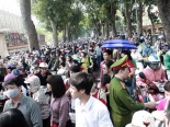 'Bê bối' khó chấp nhận tại lễ hội hoa anh đào Hà Nội 