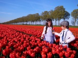 Ngắm những thiên thần Việt bên vườn hoa tulip rực rỡ ở Hà Lan