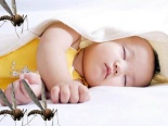 Tổng hợp các cách đuổi muỗi tránh xa căn nhà của bạn đơn giản, hiệu quả