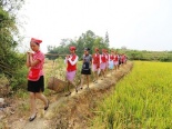 Loạt ảnh các nữ tiếp viên hàng không xinh đẹp lội ruộng, gặt lúa 'gây sốt'