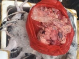 Xe tải chở chó, mèo cạo lông trắng ởn không rõ xuất xứ bị bắt giữ