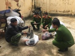 Chặn giữ nửa tấn nội tạng trâu bò lậu suýt tuồn ra thị trường