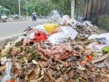 Rác thải 'bủa vây' thị xã Sơn Tây