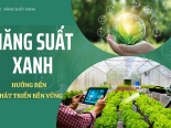 Longform: Chiến lược năng suất xanh hướng đến phát triển bền vững