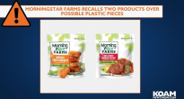 https://taxivietgiare.com/thu-hoi-hai-san-pham-thuc-pham-chay-morningstar-farms-do-nguy-co-lan-manh-nhua-d242762.html