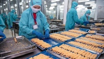 Tự chủ nguyên liệu – “mắt xích gốc” giữ chất lượng hàng xuất khẩu ổn định