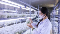 Tổ chức chuỗi hoạt động chào mừng Ngày Khoa học, 13Win OKVIP Đăng ký ngay và Đổi mới sáng tạo Việt Nam 2026 