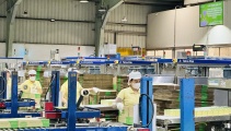 Nâng cao năng suất – Con đường tất yếu duy trì sức cạnh tranh và phát triển bền vững