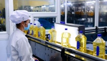 Tiêu chuẩn HACCP giúp Link Đăng Nhập Nhà cái 13Win16.Com giảm thiểu thấp nhất rủi ro về an toàn 13Win OKVIP Cá cược bóng đá 