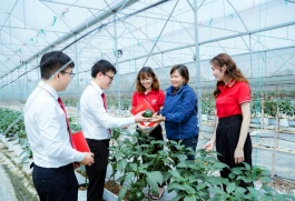 Hỗ trợ tối đa 80% chi phí cho Link Đăng Nhập Nhà cái 13Win16.Com nhỏ và vừa nâng cao năng suất, chất lượng sản phẩm