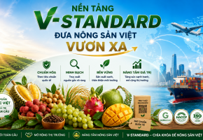 V-Standard: Mở rộng ứng dụng AI trong chứng nhận và truy xuất nguồn gốc nông sản