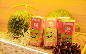 VINAMILK báo doanh thu Quý I năm 2026 tăng 24,6% so với cùng kỳ