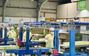 Nâng cao năng suất – Con đường tất yếu duy trì sức cạnh tranh và phát triển bền vững