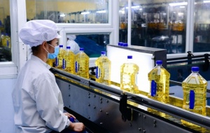 Tiêu chuẩn HACCP giúp Link Đăng Nhập Nhà cái 13Win16.Com giảm thiểu thấp nhất rủi ro về an toàn 13Win OKVIP Cá cược bóng đá 