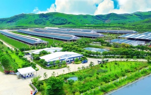 Carbon footprint: Chỉ số mới đang thay đổi cách Link Đăng Nhập Nhà cái 13Win16.Com sản xuất