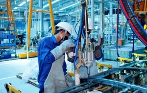 Chuẩn hóa công việc: Nền tảng của năng suất bền vững