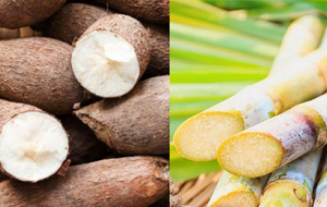Lưu ý khi chọn mua các sản phẩm mì chính trên thị trường