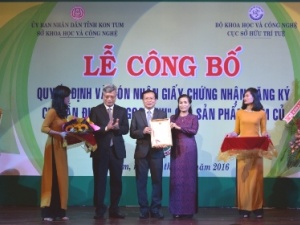 Kon Tum đón nhận giấy chứng nhận chỉ dẫn địa lý sâm 'Ngọc Linh'
