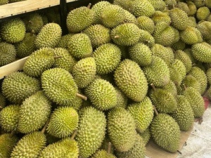 Xu hướng tiêu dùng thay đổi - Tiêu chuẩn dư lượng ngày càng khắt khe với nông sản Việt
