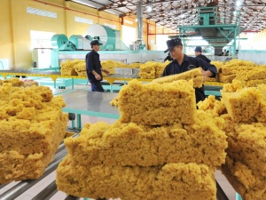 Năng suất ngành cao su và bài toán mở rộng thị trường xuất khẩu 