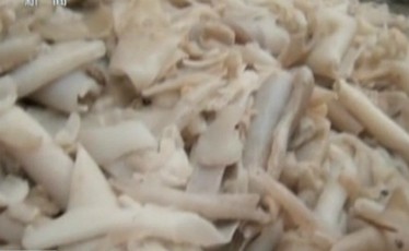 Rác thải công nghiệp thành... vỏ thuốc con nhộng