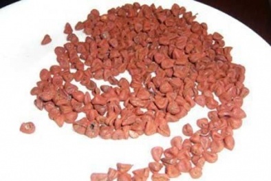 Thận trọng với "thần dược cà-ri” chữa tiểu đường