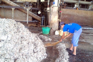 Bà Rịa - Vũng Tàu: Ô nhiễm vượt tầm kiểm soát