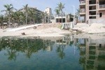 Bãi biển đẹp nhất hành tinh bị đầu độc