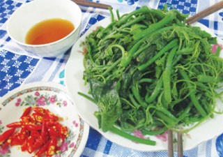 Su su Tam Đảo