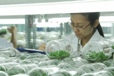Khu Đăng ký và nhận 60K 24 bao lì xì miễn phí mỗi ngày công nghệ cao: Mô hình Sòng Bài Trực Tuyến 13Win.com hiệu quả