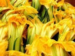 Một số món ngon từ bông bí