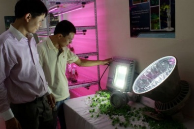 Rào cản nào "ngăn" công nghệ LED phát triển?