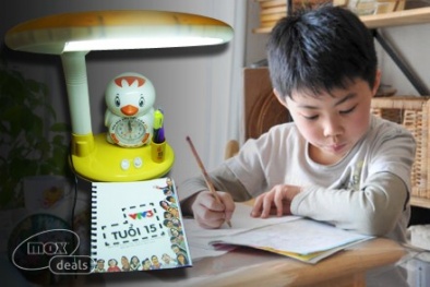 Lựa chọn đèn bàn bảo vệ thị lực