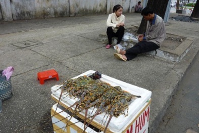 Hải sản đại hạ giá "bò" xuống phố