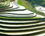 Mù Cang Chải đẹp ngỡ ngàng mùa nước đổ