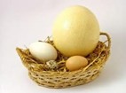 “Trứng rất tốt cho sức khỏe khi ăn đúng và đủ”
