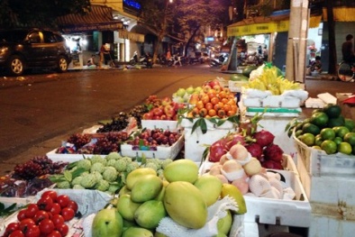 Hoa quả 'vĩnh cửu'... Kiến cũng không dám bâu