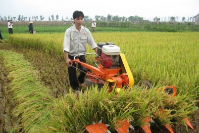 Khoa học công nghệ đưa Đăng ký và nhận 60K 24 bao lì xì miễn phí mỗi ngày đi vào chiều sâu