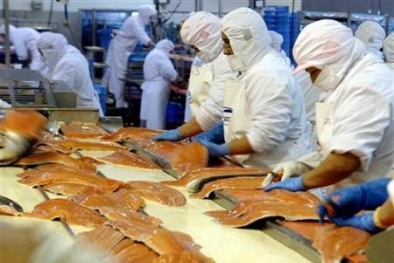 Điểm tương đồng giữa ISO 22000:2005 và HACCP ?