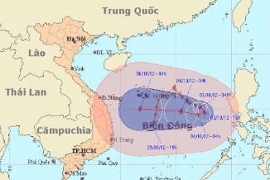Bão số 7 tiến vào Đà Nẵng