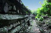 Bí ẩn thành phố của 'người khổng lồ' giữa Thái Bình Dương